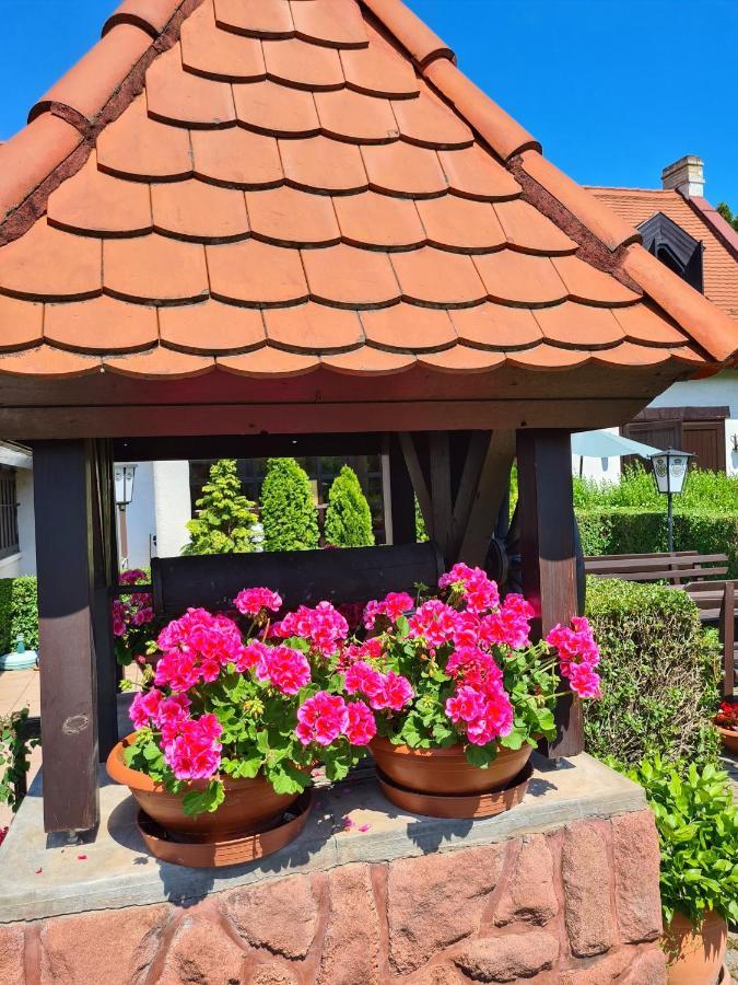 Hotel Agas Vendeghaz Csopak Exteriér fotografie